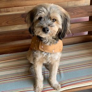 Meet your Posher, Yvette